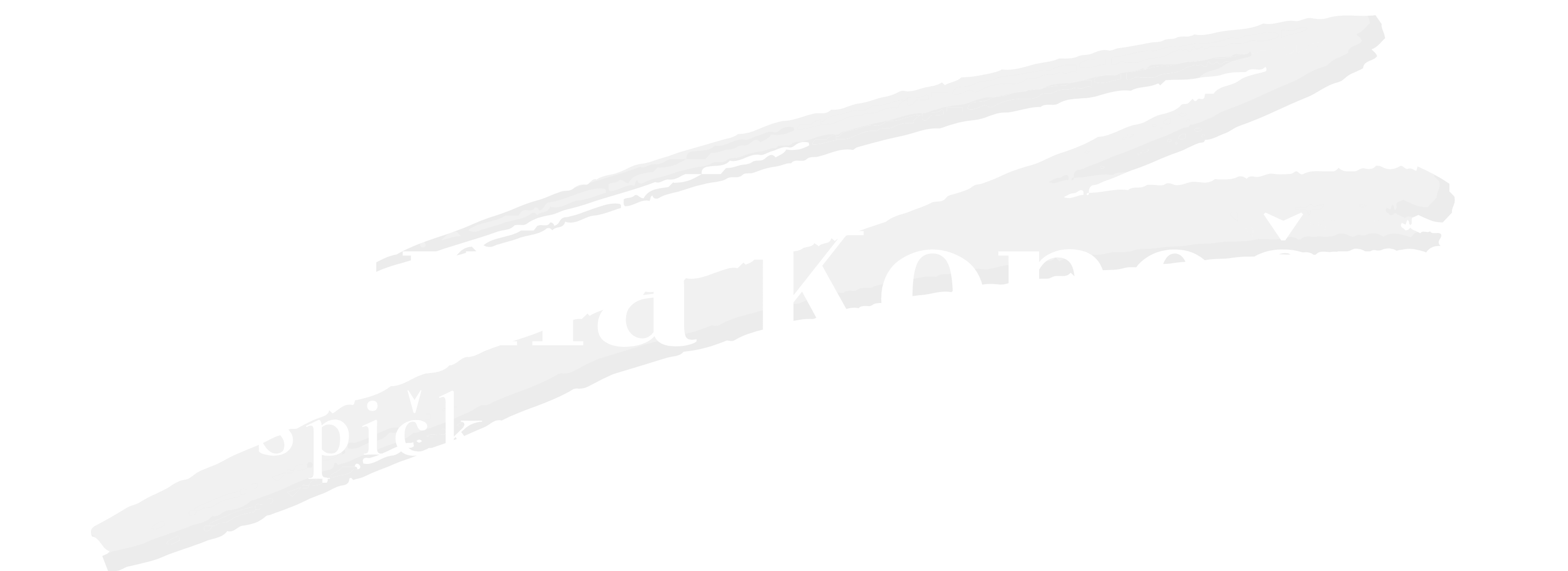 Pavlína Konečná